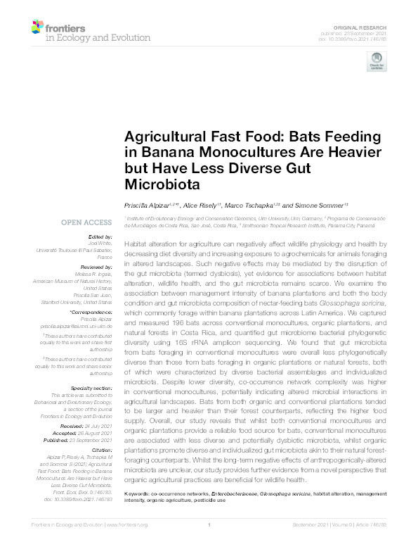 Agricultural Fast Food: Bats Feeding in Banana Monocultures Are Heavier but Have Less Diverse Gut Microbiota Thumbnail