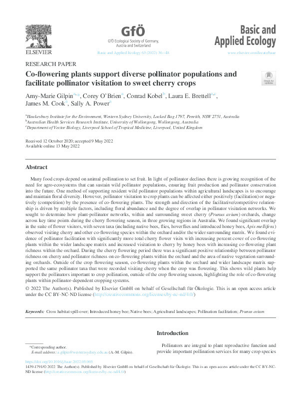 Co-flowering plants support diverse pollinator populations and facilitate pollinator visitation to sweet cherry crops Thumbnail