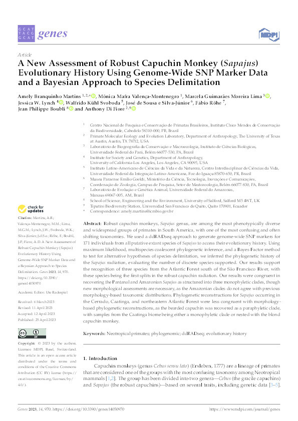 A New Assessment of Robust Capuchin Monkey (Sapajus) Evolutionary History Using Genome-Wide SNP Marker Data and a Bayesian Approach to Species Delimitation Thumbnail