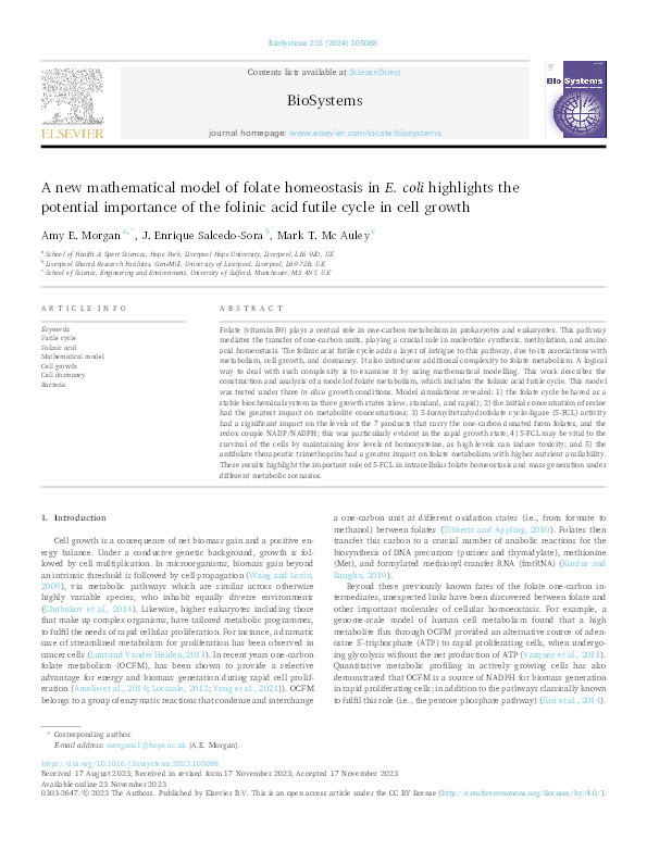 A new mathematical model of folate homeostasis in E. coli highlights the potential importance of the folinic acid futile cycle in cell growth. Thumbnail