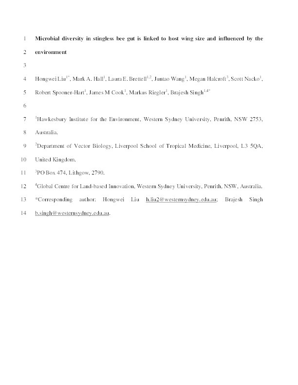 Microbial diversity in stingless bee gut is linked to host wing size and influenced by the environment Thumbnail