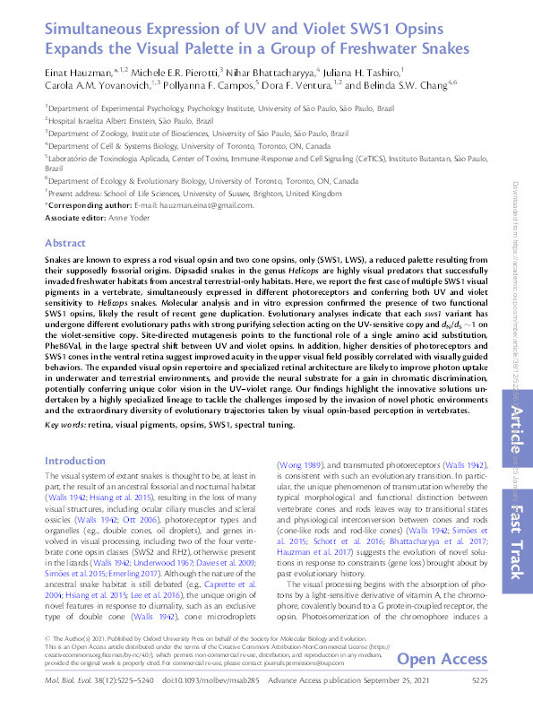 Simultaneous expression of UV and violet SWS1 opsins expands the visual palette in a group of freshwater snakes Thumbnail