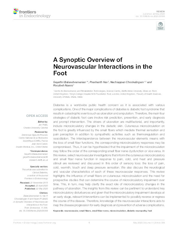 A Synoptic Overview of Neurovascular Interactions in the Foot Thumbnail