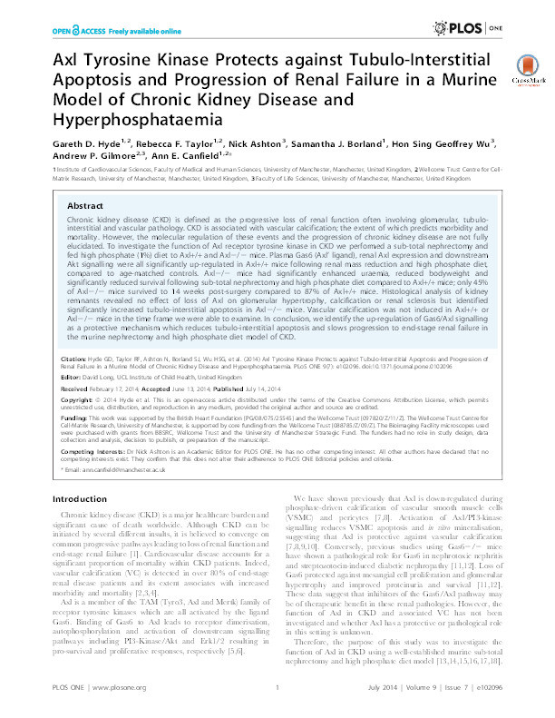 Axl tyrosine kinase protects against tubulo-interstitial apoptosis and progression of renal failure in a murine model of chronic kidney disease and hyperphosphataemia Thumbnail