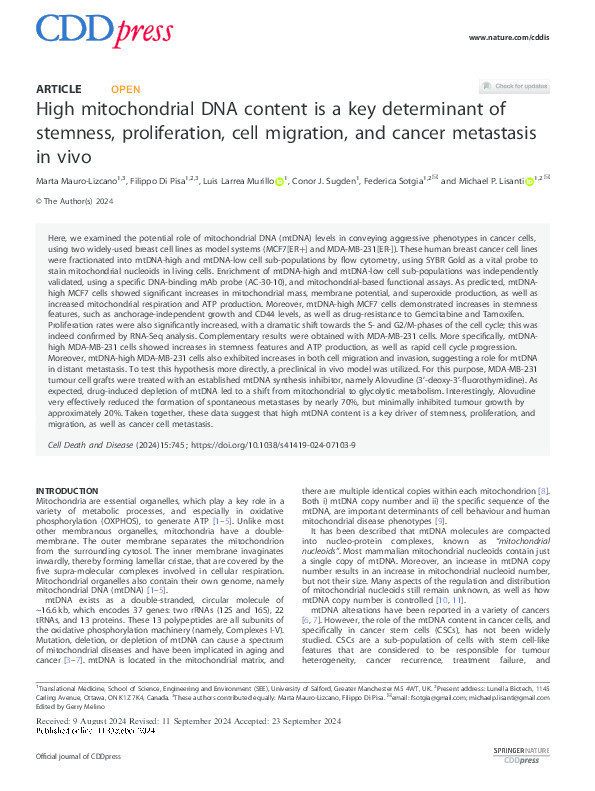 High mitochondrial DNA content is a key determinant of stemness, proliferation, cell migration, and cancer metastasis in vivo Thumbnail