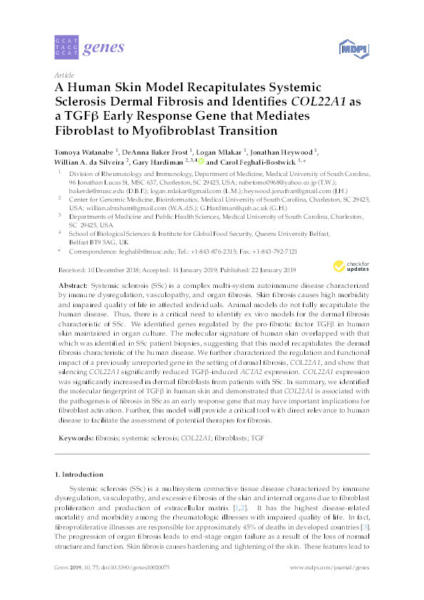 A Human Skin Model Recapitulates Systemic Sclerosis Dermal Fibrosis and Identifies COL22A1 as a TGFβ Early Response Gene that Mediates Fibroblast to Myofibroblast Transition Thumbnail