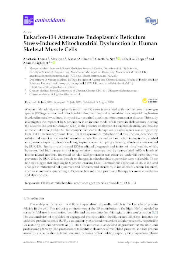 Eukarion-134 Attenuates Endoplasmic Reticulum Stress-Induced Mitochondrial Dysfunction in Human Skeletal Muscle Cells Thumbnail
