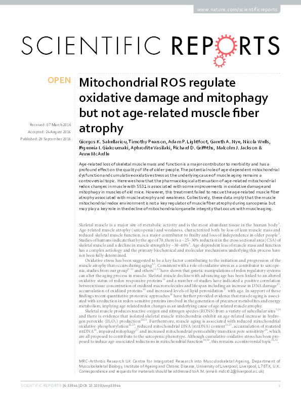 Mitochondrial ROS regulate oxidative damage and mitophagy but not age-related muscle fiber atrophy Thumbnail