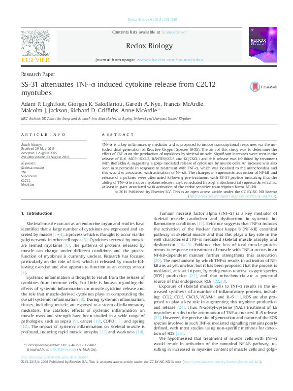 SS-31 attenuates TNF-α induced cytokine release from C2C12 myotubes Thumbnail