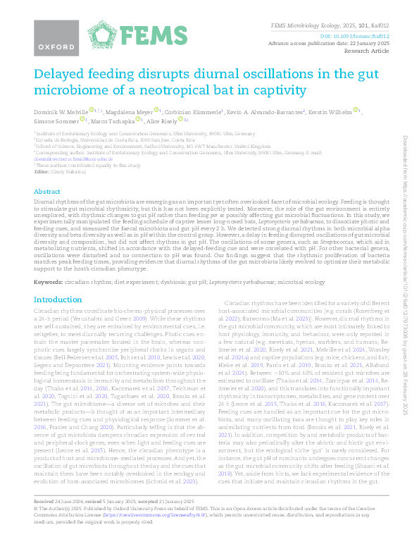 Delayed feeding disrupts diurnal oscillations in the gut microbiome of a neotropical bat in captivity Thumbnail