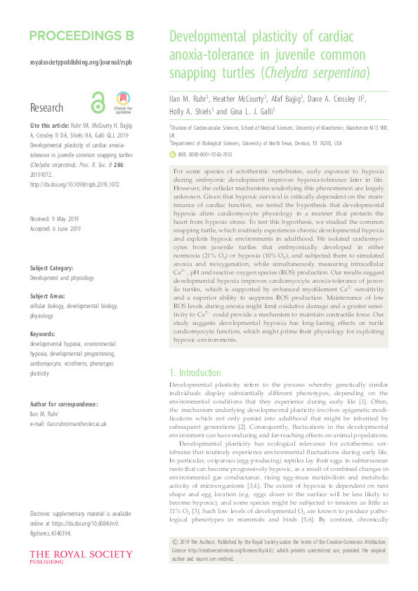 Developmental plasticity of cardiac anoxia-tolerance in juvenile common snapping turtles (Chelydra serpentina) Thumbnail
