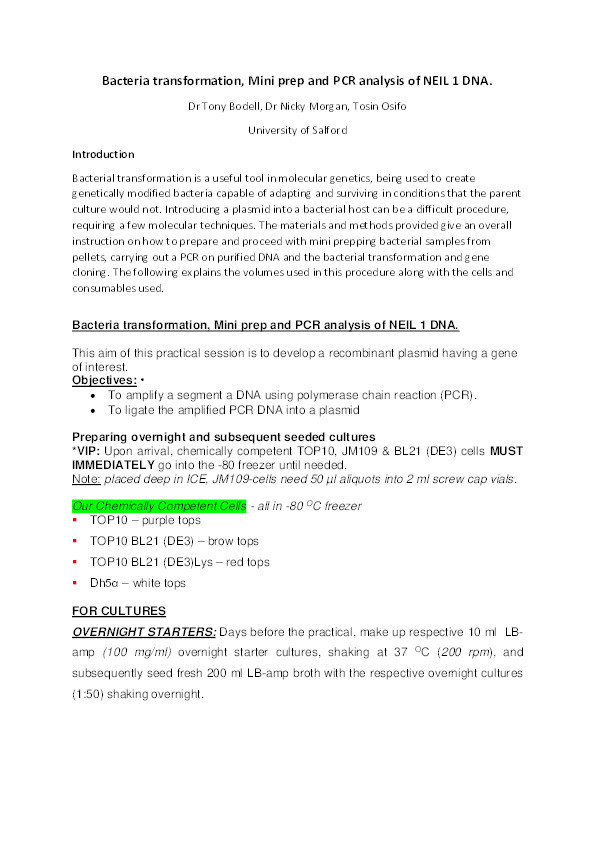 Bacteria transformation, Mini prep and PCR analysis Thumbnail